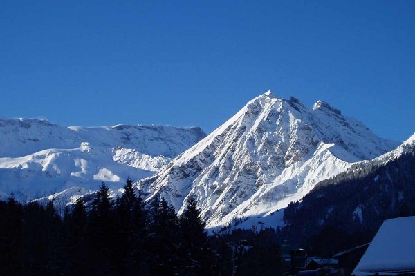 Kein Schnee, kein Blau, kein Problem 6 Fotomotiv-Ideen für graues Winterwetter - 